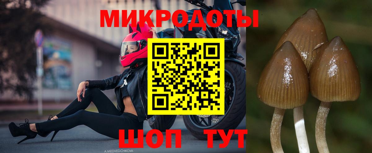 где можно купить наркотик  Псилоцибиновые грибы Psilocybine cubensis  Вход с VPN  Валуйки  Псилоцибиновые грибы мицелий 